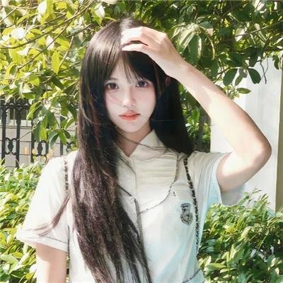 血豹