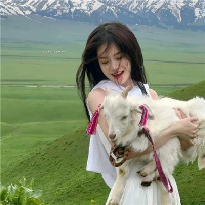 延禧攻略番外篇之金枝玉叶